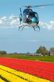 Lisse: Tulip Field Helicopter Flight
