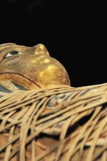 Egyptisk museum i Torino: Guidet rundvisning uden om køen