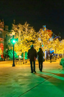 Els Llums de Sant Pau: Christmas Garden