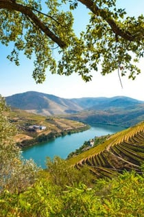 Douro-vallei: boottocht van Porto naar Pinhão met ontbijt, lunch & wijnproeverij
