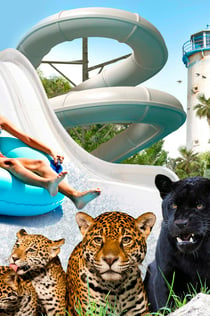 Terra Natura & Aqua Natura Benidorm: kombinovaná vstupenka