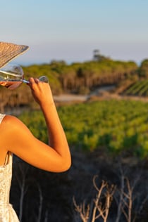 Degustació de vins i visita al celler de l'autor