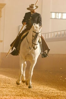 Escola Real Andaluza de Arte Equestre: Exposição Andaluza de Cavalos