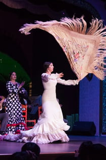 "Palacio del Embrujo Sevilla": Flamencoshow med drink og snack eller middag
