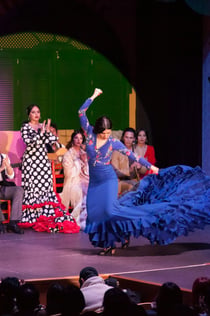 "Palacio del Embrujo Sevilla": Flamencoshow med drink og snack eller middag