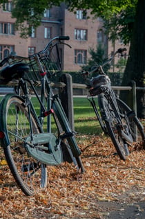 Rundgang durch die Universität Cambridge