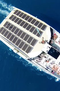 Barcelona: Eco Catamaran Sunset Tour z drinkiem