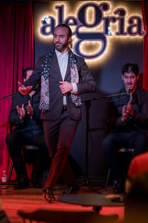 Alegría Málaga: spettacolo di flamenco
