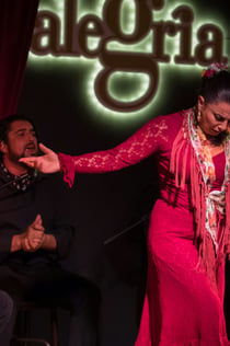 Alegría Málaga: spettacolo di flamenco
