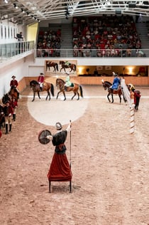 École portugaise d'art équestre : Formation matinale