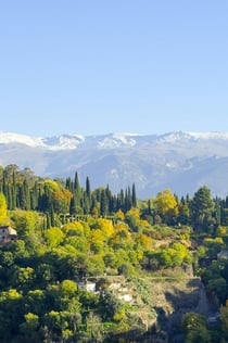 Alhambra & Nasrid Palaces: Private Guided Tour (Minimum 2 Person)