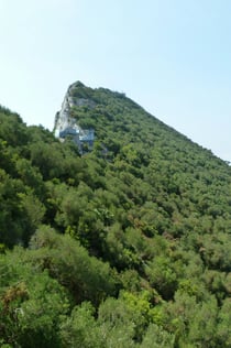 Von Málaga aus: Tagesausflug nach Gibraltar