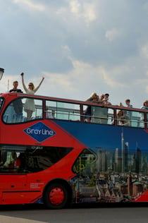 Hop-on Hop-off Bus Frankfurt: Especial Skyline