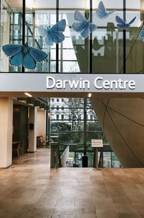 London: Natural History Museum Semi-Private Guided Tour