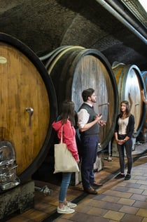 Klosterneuburg Abbey: Wine and Tasting Tour from Vienna by E-Bike