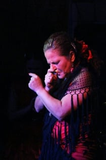 El Toro y la Luna Tablao Flamenco Show s večeří a pitím