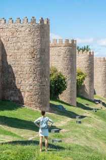 Ávila e Salamanca: Gita di un giorno da Madrid