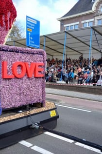 Parade des Fleurs et Ferme de Tulipes   : Billet d'Entrée VIP + Transport