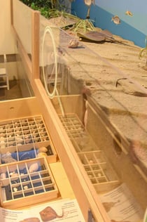 Trieste: Biodiversitario Marino (BioMa)
