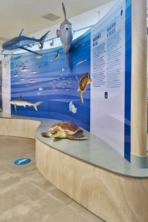 Trieste: Biodiversitario Marino (BioMa)