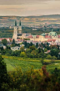 Klášter Klosterneuburg: prohlídka vinného sklepa s průvodcem a ochutnávka