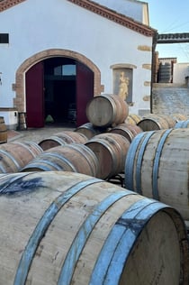 Barcelona: Dagtocht naar Penedès Wijnkelder + Proeverij