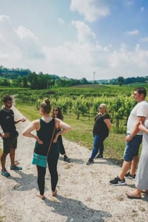 Verona: Prosecco Wine Tour z Benátek