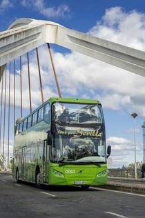Alsa Seville: 48-Hr Hop-on Hop-off Bus Tour