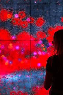 Barcelona: "El Born" gåtur + adgang til Picasso og Moco museer