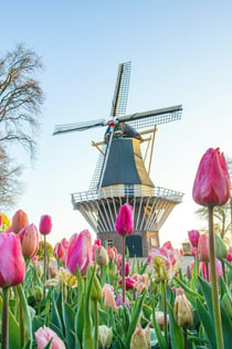 Keukenhof, Zaanse Schans & Volendam : billet d'entrée + visite guidée