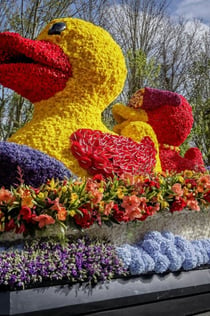 Keukenhof e parata dei fiori: biglietto d'ingresso + tour dei tulipani