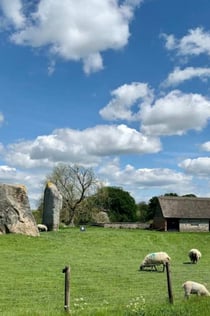 Stonehenge & steencirkels van Avebury: Dagtocht met gids vanuit Londen