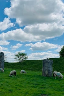 Stonehenge & steencirkels van Avebury: Dagtocht met gids vanuit Londen