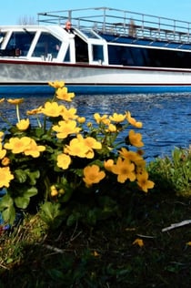 Lisse: creuer amb molí de vent i llac des de Katwijk