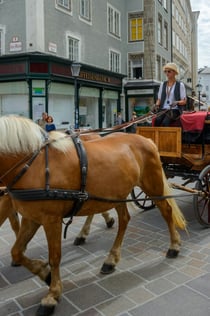 Salzbourg et la région des lacs : Excursion d'une journée au départ de Munich