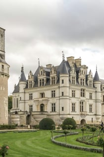 Loiredalens slott: guidad heldagstur från Paris med transport