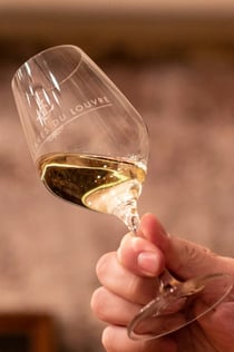 Παρίσι: Wine and Cheese Aperitive with a Sommelier