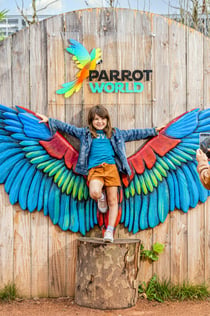 Parrot World Day Eintritt