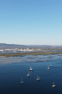 Eiland Ria Formosa: Boottocht van 4 uur vanuit Olhão