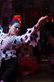 Caves of Sacromonte Los Tarantos: Flamenco Show with Drink and Optional Dinner