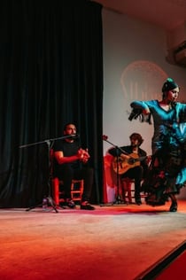 Tablao La Alboreá Granada: Flamenco Show
