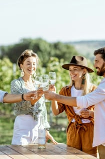 Vesuvius: Vineyard Tour + Wine Tasting + Lunch Ticket