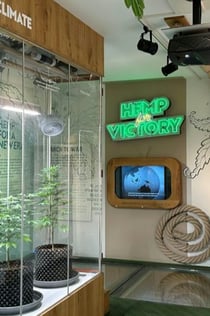 Musée du cannabis à Amsterdam : Billet d'entrée + Audioguide
