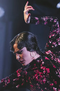 Casa Ana Granada: Traditional Flamenco Show