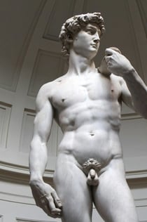 Florenz: Bevorzugter Zugang zur Accademia und geführte Besichtigung