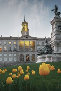 Porto : Visite à pied