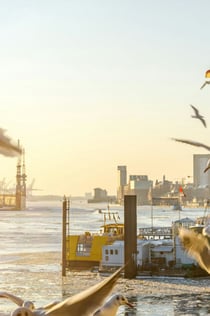 Hamburg City Pass: Ditt all inclusive-pass
