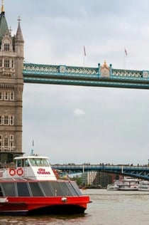 London Walking Tour: Harry Potter Tour, River Cruise and London Dungeon