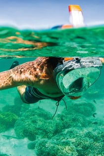 Palma di Maiorca: escursione in barca di 3 ore per l'osservazione dei delfini