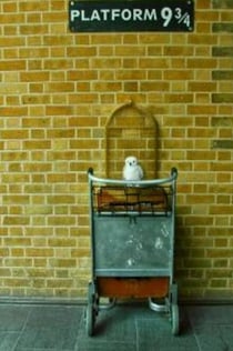 London: Harry Potter Walking Tour, St Paul’s Cathedral and River Cruise Tickets